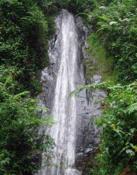 water falls at Nyungwe national park