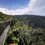 Nyungwe national park canopy walk