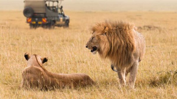 Tours-Akagera-national-park