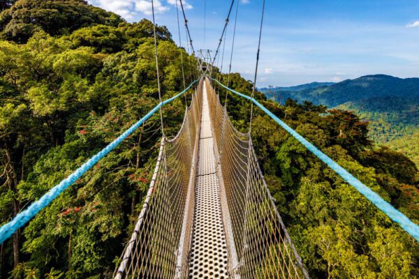 2 Days Nyungwe forest national park serenity safari